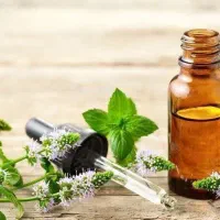 بادکش وحجامت