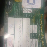 206مدل 86|خودرو سواری و وانت|فولادشهر, B2|دیوار