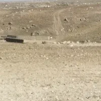 ۱۴۲متردهنه۱۰/۵کوچه۸متری