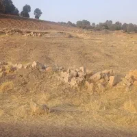 هزار و پانصد متر زمین در بسطام روستای سراب سقا|فروش زمین و ملک کلنگی|الشتر, |دیوار