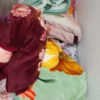 تعدادی تشک پنبه،پتوی گلبافت،بالشت پر تو و در حد نو|رختخواب، بالش، پتو|کرج, ساماندهی|دیوار