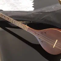 سه تار کار استاد مهدی مفاخری سالم ونو با کیف