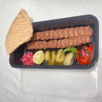 ویزیتور غذا پردیس