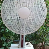 پنکه