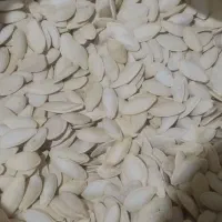 تخمه کدو آجیلی .کدومشهدی