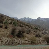 تور و مسافرت