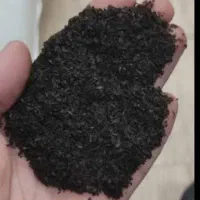 جشنواره عرضه چای|خوردنی و آشامیدنی|نور, |دیوار