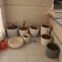 «فروش گلدان های سرامیکی متنوع و زیبا »