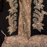 تعدادی لباس مجلسی|لباس|اشکذر, |دیوار