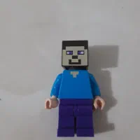 استیو ماینکرافت