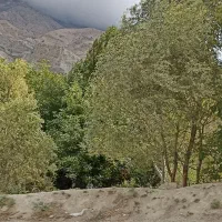 مشاور تحصیلی برای رشته تجربی