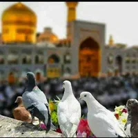 مشهد قطار تک و تور