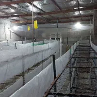 اجاره سوله برای انبار وغیره