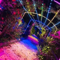 نیرو کار برای باغ رستوران