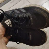 کتانی های اورجینال|کیف، کفش، کمربند|تهران, امانیه|دیوار