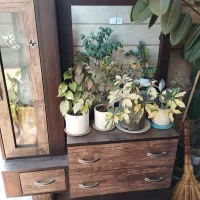 چند تیکه لوازم خانه|تخت و سرویس خواب|گنبد کاووس, |دیوار