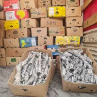 ذغال پسته قلم سفید