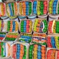 مرکز پخش کاکتوس اچینو رنگی