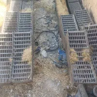 فرشی لوازم معمولی کمباین جاندی|خودرو سنگین|مرودشت, مجد آباد|دیوار