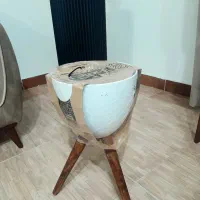 جا گلدانی|گل و گیاه طبیعی|رشت, لاکان|دیوار