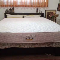 تشک دونفره طبی رویا اصل