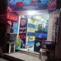 فروش تابلو ال ای دی روان|فروشگاه و مغازه|اسلام‌شهر, شهرک واوان|دیوار