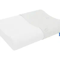 سرای بالش برای اولین بار در تبریز|رختخواب، بالش، پتو|تبریز, |دیوار