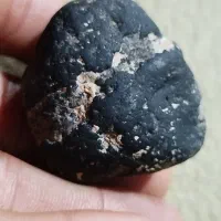 شهاب سنگ وفسیل بسیار کمیاب