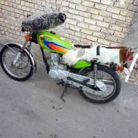 معاوضه با لپ تاپ و گوشی