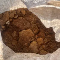 کود مرغی|خدمات باغبانی و درختکاری|لنگرود, |دیوار