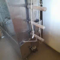 فر مرغ سوخاری|کافی‌شاپ و رستوران|زبرخان, |دیوار