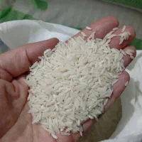 برنج نیم دانه ودرشت هاشمی آستانه اعلاو هاشمی معطر|خوردنی و آشامیدنی|الوند, |دیوار
