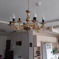 لوستربرنز ۱۲ شاخه طلایی