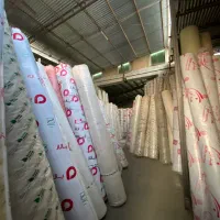 پالاز اصل در رنگ بندی بالا