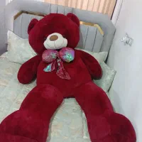 خرس دو متری