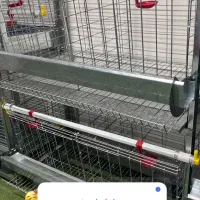 قفس پرورش مرغ و بلدرچین|لوازم جانبی حیوانات|تهران, مهرآباد|دیوار