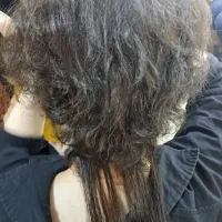 اکستنشن مو|خدمات آرایشگری و زیبایی|شیراز, ریشمک|دیوار