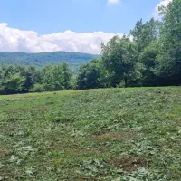 5000 متر زمین مسکونی نسق سراوان/رشت/کچا/موشنگاه