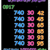 09171454932