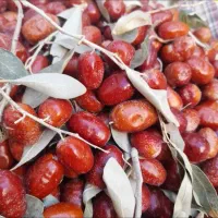 سنجد تازه امسال نرم و رسیده|خوردنی و آشامیدنی|خوی, |دیوار