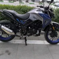 گلگسی خشک زیر قیمت بازار