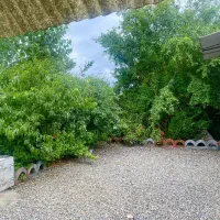 زمین-2012متری