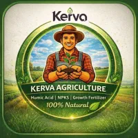 کود تقویت ریشه و پنجه‌زنی برنج (کیسه و مایع)