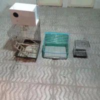 قفس پرنده