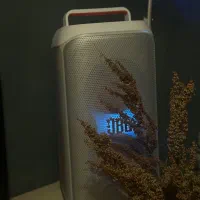 Jbl partybox club120