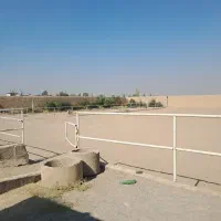 پانسیون اسب باشگاه سوارکاری