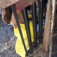 باربند مزدا دوکابین