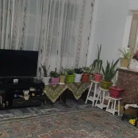 واحد ۶۰ متری|فروش آپارتمان|مشکین‌دشت, |دیوار