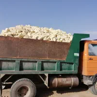 خاور اجر سه گل وگری خاک اجر وماسه