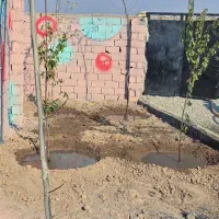 باغچه ۲۲۰ متری ( برق چسب ملک)|فروش زمین و ملک کلنگی|شهریار, اصیل آباد|دیوار